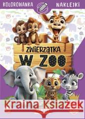 Zwierzątka w zoo z naklejkami Katarzyna Salamon 9788367900058