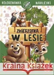 Zwierzątka w lesie z naklejkami Katarzyna Salamon 9788367900065