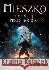 Mieszko. Porzucony przez bogów Piotr Skupnik 9788367927345