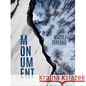 Momentum Torebko Maciej 9788368037838