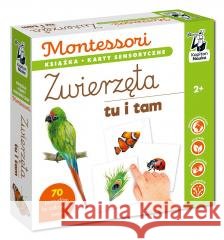 Montessori. Zwierzęta tu i tam. Karty sensoryczne Katarzyna Dołhun, Katarzyna Fus 9788368044126