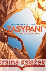 Zasypani Oliver Franklin-Wallis 9788368045772