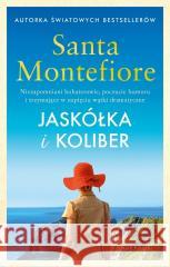 Jaskółka i koliber Santa Montefiore 9788368068757