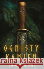 Ognisty kamień Magdalena Dąbrowska 9788368095470