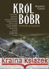 Król Bóbr Andrzej Czech 9788368153385
