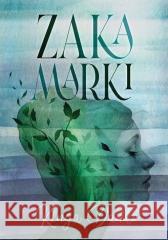 Zakamarki Kinga Dańko 9788368177671