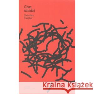 Czas miedzi Snajder Slobodan 9788368178302