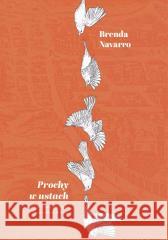 Prochy w ustach Brenda Navarro 9788368191431