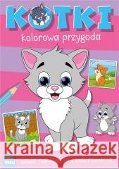 Kotki kolorowa przygoda z naklejkami Katarzyna Maćkowiak 9788368195262