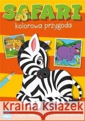 Safari kolorowa przygoda z naklejkami Katarzyna Maćkowiak 9788368195309