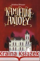 Kamienne anioły Karina Ohlsson 9788368242836