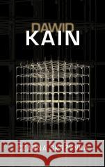 Czarna skrzynka Dawid Kain 9788368257472