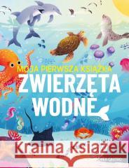 Moja pierwsza książka. Zwierzęta wodne Eliza Jeffery 9788368258684