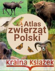 Atlas zwierząt Polski Krzysztof Ulanowski 9788368258707