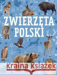 Zwierzęta Polski Krzysztof Ulanowski 9788368258714