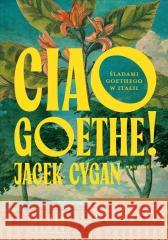Ciao, Goethe!. Śladami Goethego w Italii Jacek Cygan 9788368265965