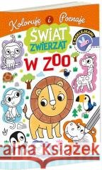 Kolorowanka a4 świat zwierząt - w zoo Agnieszka Matz 9788368335385