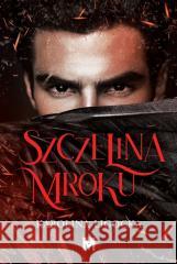 Szczelina mroku Ligocka Karolina 9788368371512