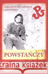 Powstańczy tryptyk w.4 BR Zbigniew Blichewicz 