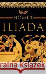 Iliada pocket Homer 9788368471892
