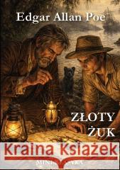 Złoty żuk Edgar Allan Poe 9788368508543