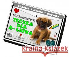 Teczka dla 2 latka. Książeczki mądrej główeczki Love Books 9788368537185