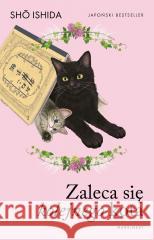 Zaleca się kolejnego kota Sho Ishida 9788368549140