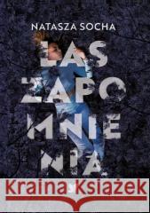 Las zapomnienia Socha Natasza 9788368589146