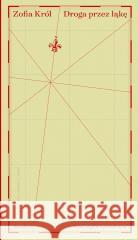 Droga przez łąkę. Sześć esejów o przestrzeni Zofia Król 9788368615005