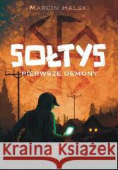 Sołtys pierwsze demony Marcin Halski 9788368695250