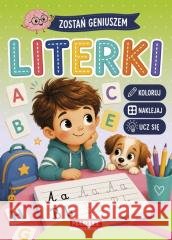 Zostań geniuszem Literki z naklejkami Katarzyna Salamon 9788368930351