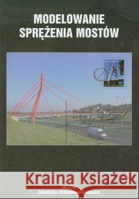 Modelowanie sprężenia mostów Machelski Czesław 9788371251917 Dolnośląskie Wydawnictwo Edukacyjne