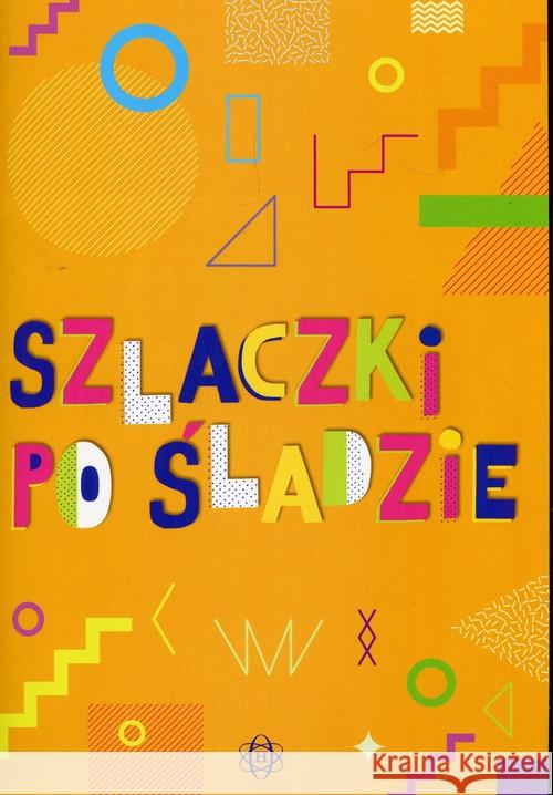 Szlaczki po śladzie Hinz Magdalena 9788371349492 Harmonia