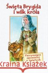 Święta Brygida i wilk króla - Amy Steedman WDS Amy Steedman 9788373007895