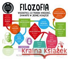 Filozofia. Szybki kurs dla każdego Peter Gibson 9788373505094