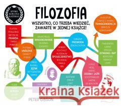 Filozofia. Szybki kurs dla każdego Peter Gibson 9788373505773