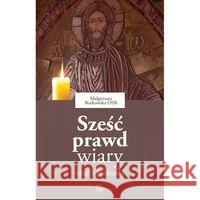 Sześć prawd wiary oraz ich skutki Borkowska Małgorzata 9788373547841