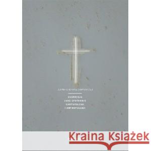 Ekspresja jako spotkanie chrystologii i antropologii Sawicki Bernard 9788373549036 Homini