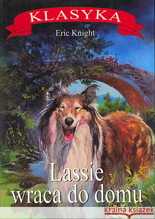 Lassie wraca do domu Knight Eric 9788373998582 Rytm