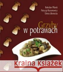 Grzyby w potrawach Bolesław Pilarek, Patrycja Rozumowicz, Elwira Ulan 9788374010399