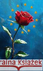 Z Maryją krok po kroku. Nabożeństwa majowe Lidia Lasota 9788374018654