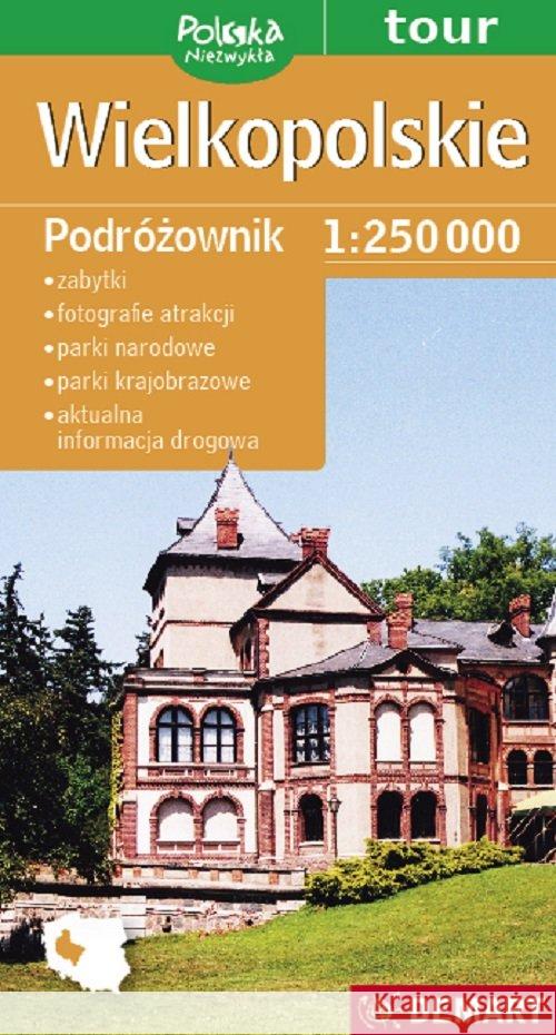 Mapa - Wielkopolskie Podróżownik 1:250 000  9788374279444 Demart