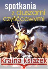 Znaki. Spotkania z duszami czyśćcowymi brat Francesco Simonetti 9788374826211