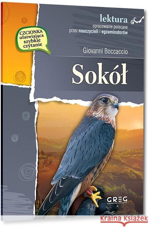 Sokół GREG Boccaccio Giovanni 9788375179392