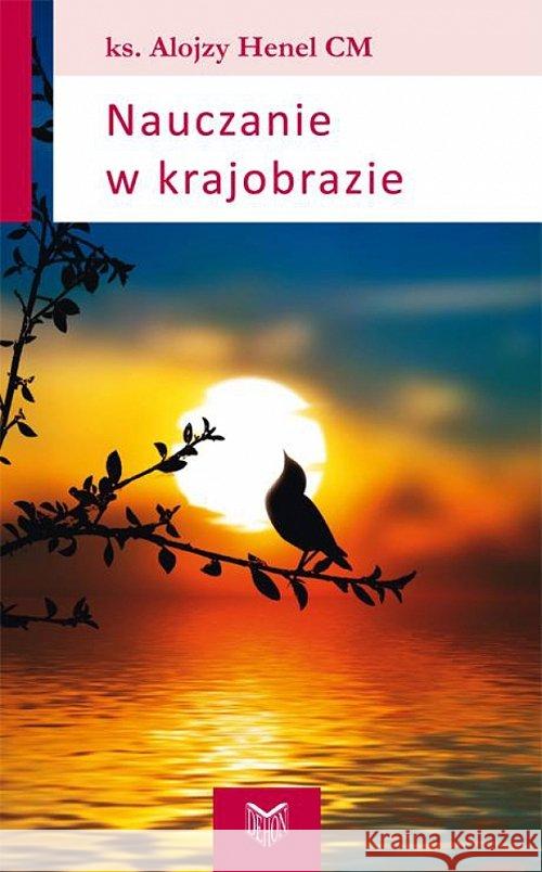 Nauczanie w krajobrazie Henel Alojzy 9788375194005 Dehon