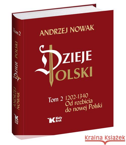 Dzieje Polski. Tom 2. Od rozbicia do nowej Polski Nowak Andrzej 9788375531961 Biały Kruk