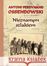 Nieznanym szlakiem. Nowele w.2011 Ossendowski Antoni Ferdynand 9788375651485 LTW
