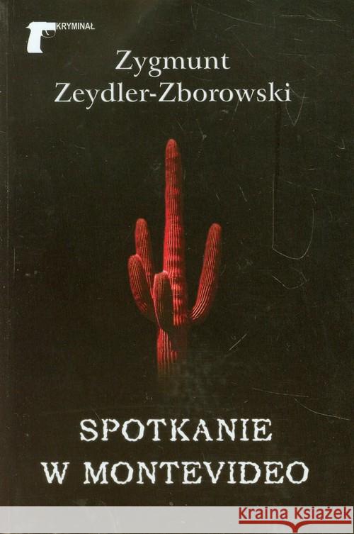 Spotkanie w Montevideo Zeydler-Zborowski Zygmunt 9788375652796 LTW