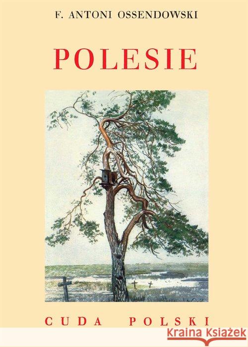 Polesie. Cuda Polski BR Ossendowski Antoni Ferdynand 9788375653939 LTW