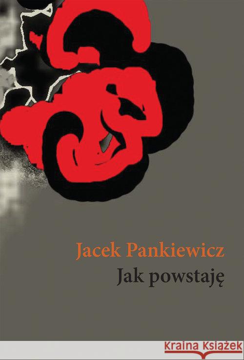 Jak powstaję Pankiewicz Jacek 9788375655377